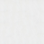 Vliesbehang  Spachtelpoets structuur 33-161