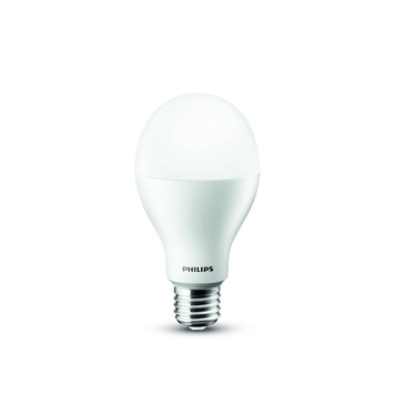 Leia Boek vandaag Philips LED peerlamp E27 1521 lumen 16W=100W mat dimbaar | | GAMMA.be