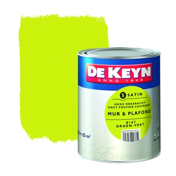 De Keyn muur- en plafondverftester mat groen 70 ml