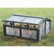 Keter mini-serre Coldframe Planteo vert 96x100x48 cm
