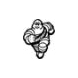 MICHELIN