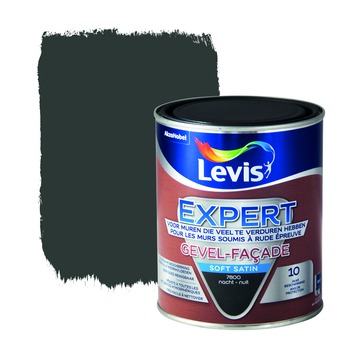 Levis Peintures - NETTOYANT FACADE