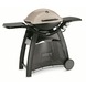 Weber gasbarbecue Q3000 titan station