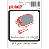 Pickup picto 10x10 surveillance camera