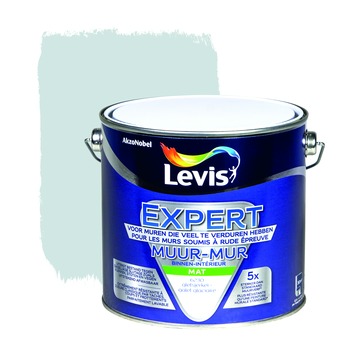 Levis  expert mur 2,5l 6230 gletsjerkei