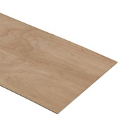 Multiplex hardhout 122x61cm 3,6mm