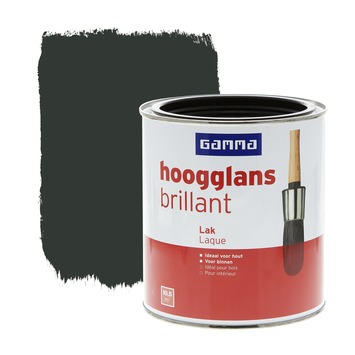 GAMMA lak hoogglans zwart 750 ml