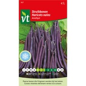 VT struikbonen amethyst 25 gram