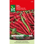 Piment d'espagne long  VT 1g