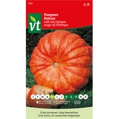 VT pompoen rode van etampes 2 gram