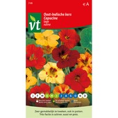 VT Oost-Indische kers lage 4 gram