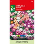 VT middagbloem gemengd 1 gram