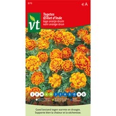 VT tagetes/afrikaantjes lage oranje-bruin 1 gram