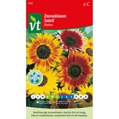 Tournesol nain distino VT 1g