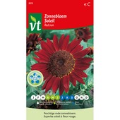 VT zonnebloem red sun hoog 1 gram