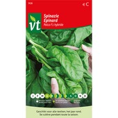 VT spinazie rico F1 hybride 14 gram