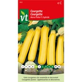 Courgette jaune polka f1 hybride VT 1,5g
