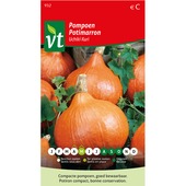 Potiron uchiki kuri VT 3 g