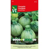 VT courgette ronde van Nice 2 gram