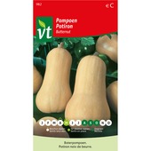 VT pompoen butternut 1,5 gram