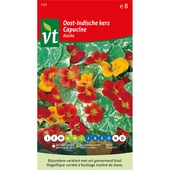 VT Oost-Indische kers alaska 3 gram