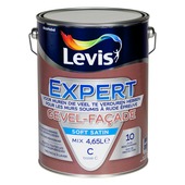 Levis Expert Façade 5 L base C