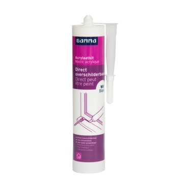 GAMMA acrylaatkit direct overschilderbaar wit 310 ml
