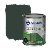 Sigma lak exterieur gloss 750 ml grachtengroen