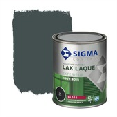 Laque extérieure Sigma brillant 750 ml anthracite