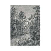 Fotobehang Jungle zwart-wit (105411)