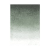 Fotobehang fading groen (dessin 105419)