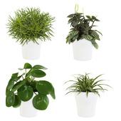 Gamma Bloembakken Plantenbakken Kopen