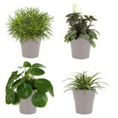 Plantenbak onderzetter