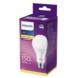 Ampoule LED poire Philips E27 19,5W 2500 Lm