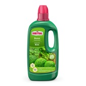 Engrais pour buis Substral 1 L