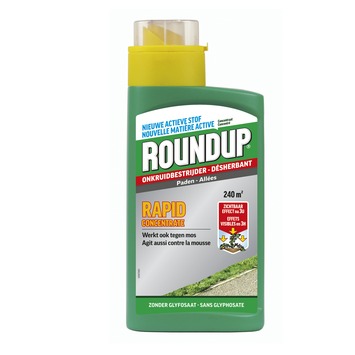 Roundup Rapid Onkruidbestrijding Voor Paden 0,54 Liter | GAMMA.be