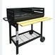 Jamestown houtskool barbecue metaal zwart 94x61x96 cm