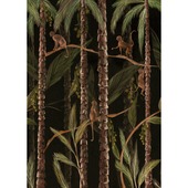 Fotobehang monkey jungle (dessin 107341)