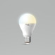 iDual White E27 lamp