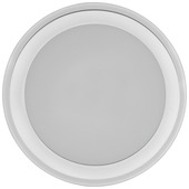 GAMMA plafondlamp Charles Led 12W warm wit