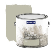 Peinture murale Color Intense GAMMA extra mate 2,5 L olivine