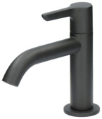 Atlantic koudwaterkraan Riley met hendel zwart