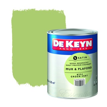 De Keyn muur- en plafondverf zijdeglans 254 groen 2,5 L