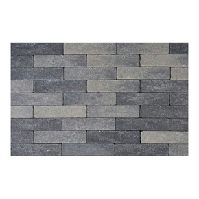 Pavé vibré 20x5x6 cm gris-noir 936 pièces/9,36 m²