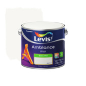 Levis Ambiance muurverf extra mat fuji 2,5 L