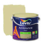 Levis Ambiance muurverf extra mat olijf 2,5 L