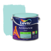Levis Ambiance muurverf extra mat turkse steen 2,5 L