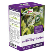 DCM Boomerang Garden insecticiden voor siertuin 50 ML