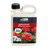 Engrais liquide DCM géraniums & plantes fleuries 2,5 L