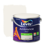 Levis Ambiance muurverf extra mat roomijs 2,5 L